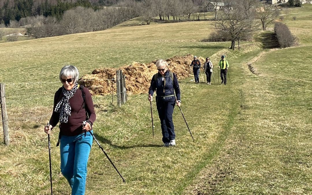 Le Sentier des Ours 2023 accueille les Nordic&rsquo; Walkers