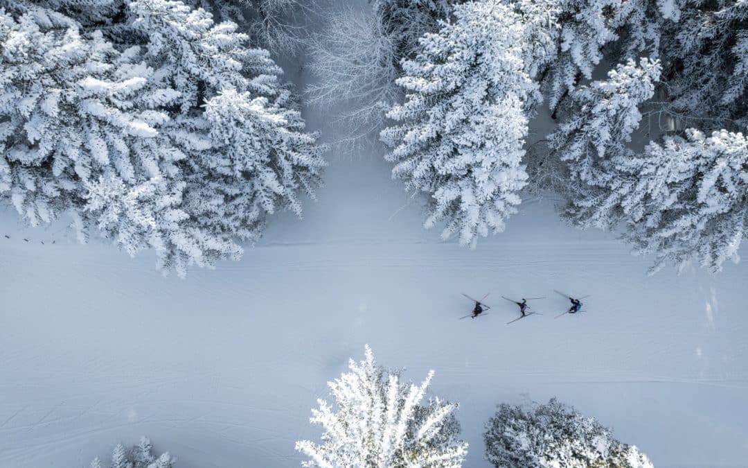 Foulée Blanche 2026 – La vidéo du dimanche